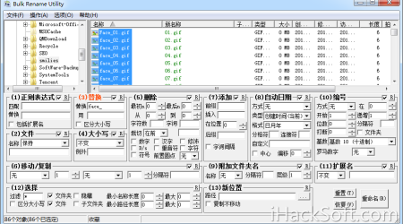 无所不能的文件批量重命名软件 – Bulk Rename Utility汉化绿色版